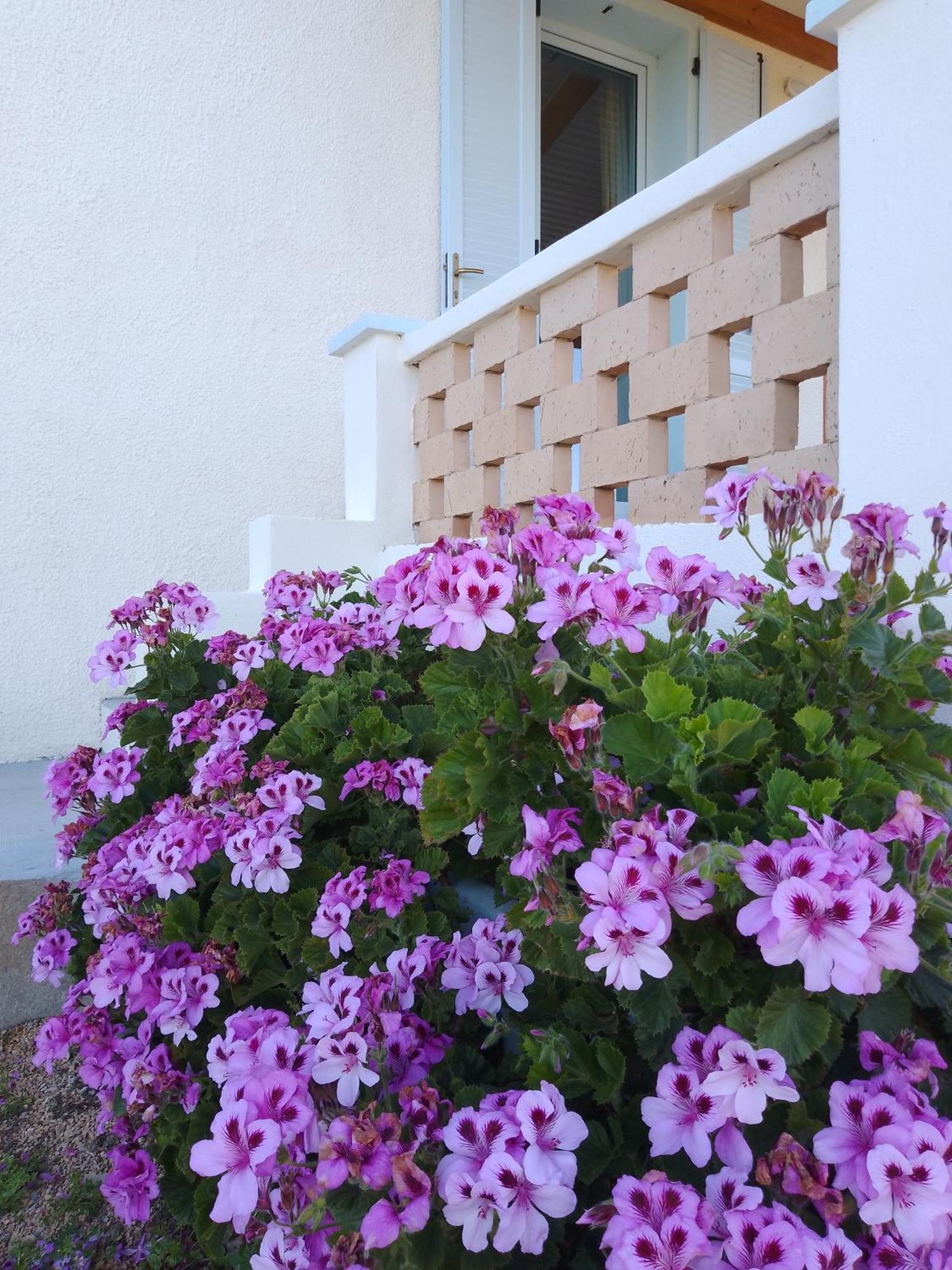 Lispusada Agriturismo Adults Only Biancareddu Exterior foto